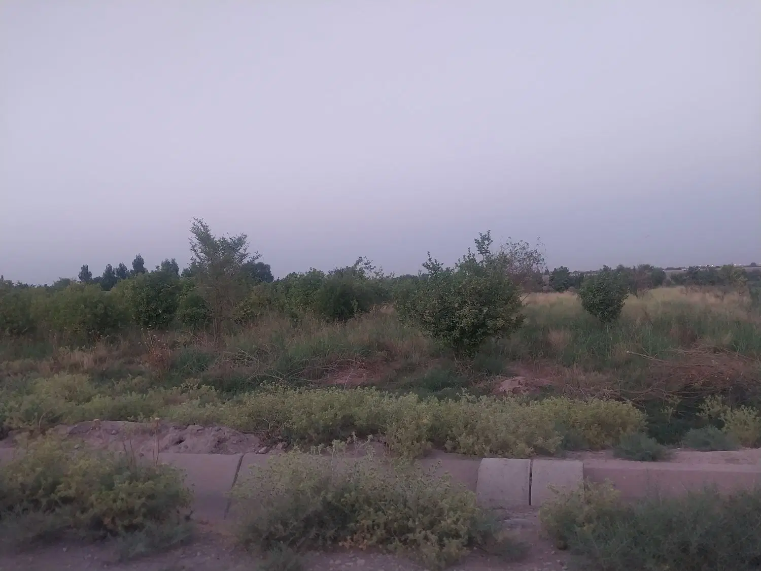 یک قطعه باغچه۷۵۰متری