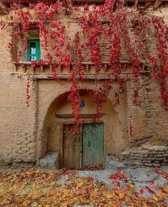 فروش زمین باغی