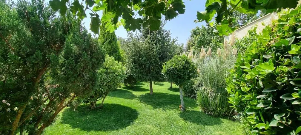 زمین علی آباد گونه بر بلوار مناسب ساخت مغازه