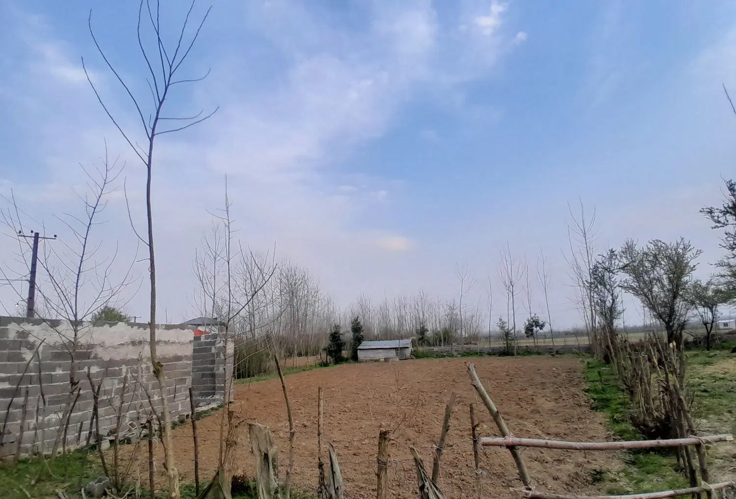 زمین باغی