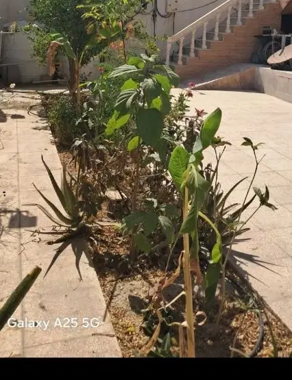 مشاورحسینی فرجام_رهن و اجاره ویلایی