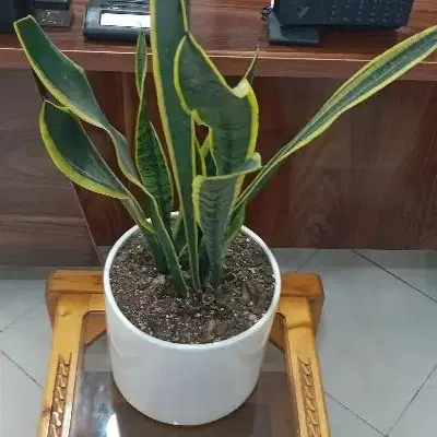 فروش دفتر کار خیابان ۵آذر