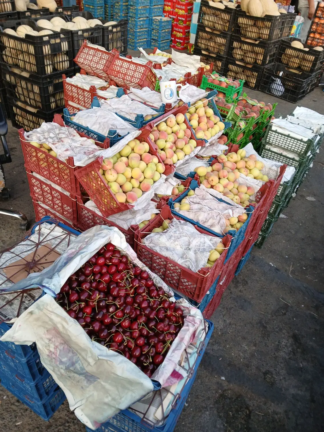 حجره میدان تره بار مرکزی