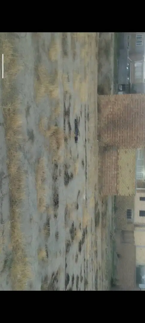 ولنده کوی دانش