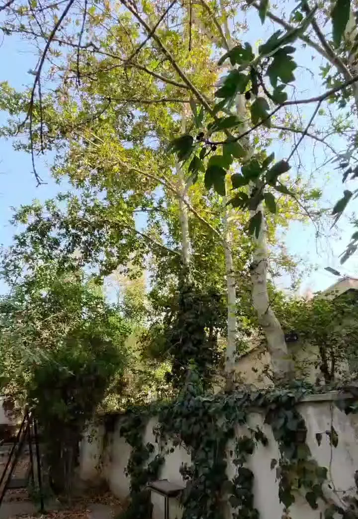 130 متر فاز یک