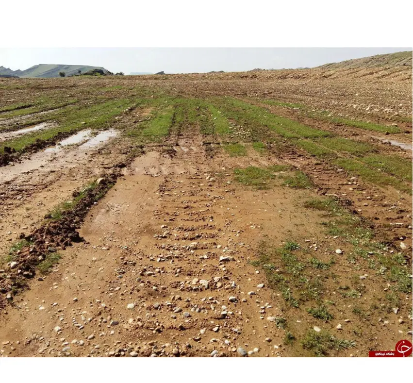 زمین  باغی سوسن آباد بحر جاده ۷۰۰متر