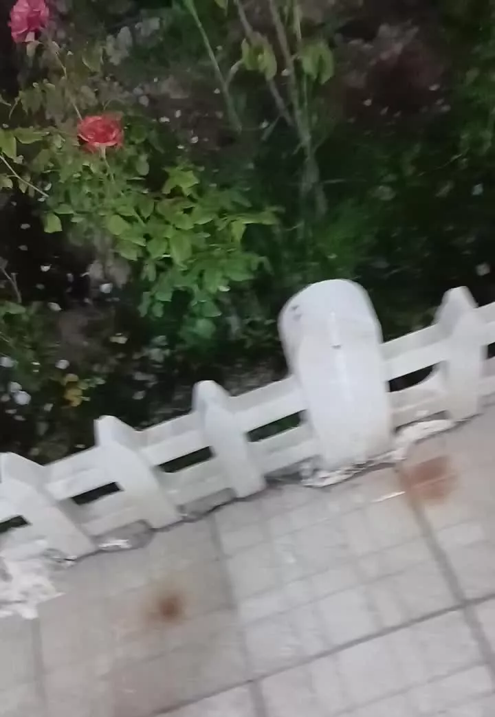 باغچه خوشگل بدون دردسر