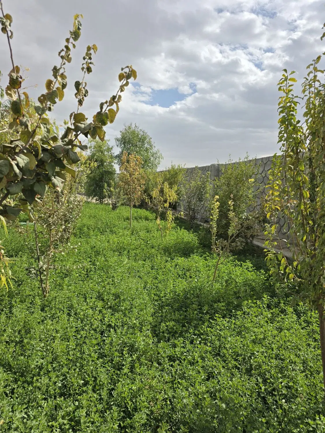 ۵۰۰ متر چهاردیواری مطابق با بودجه شما تیمیارت