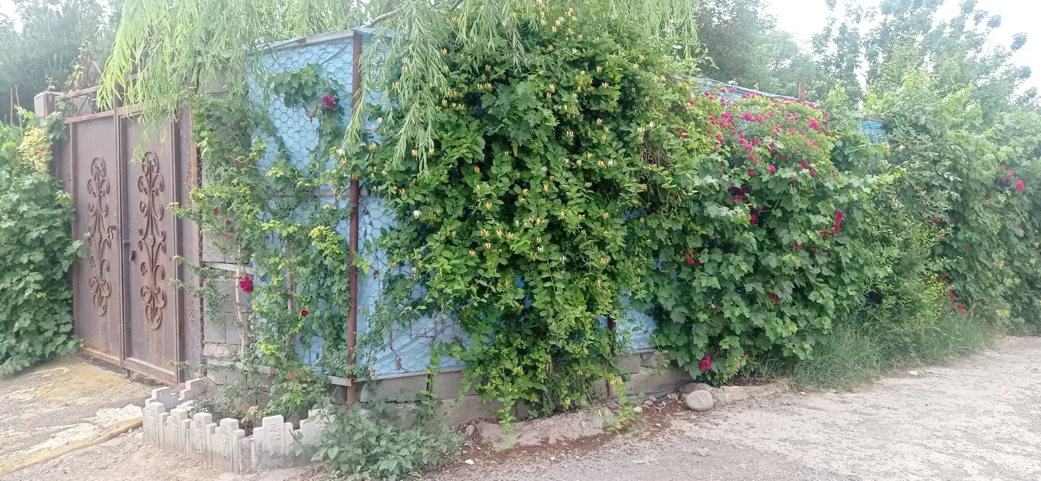 ۴۵۰متر باغچه