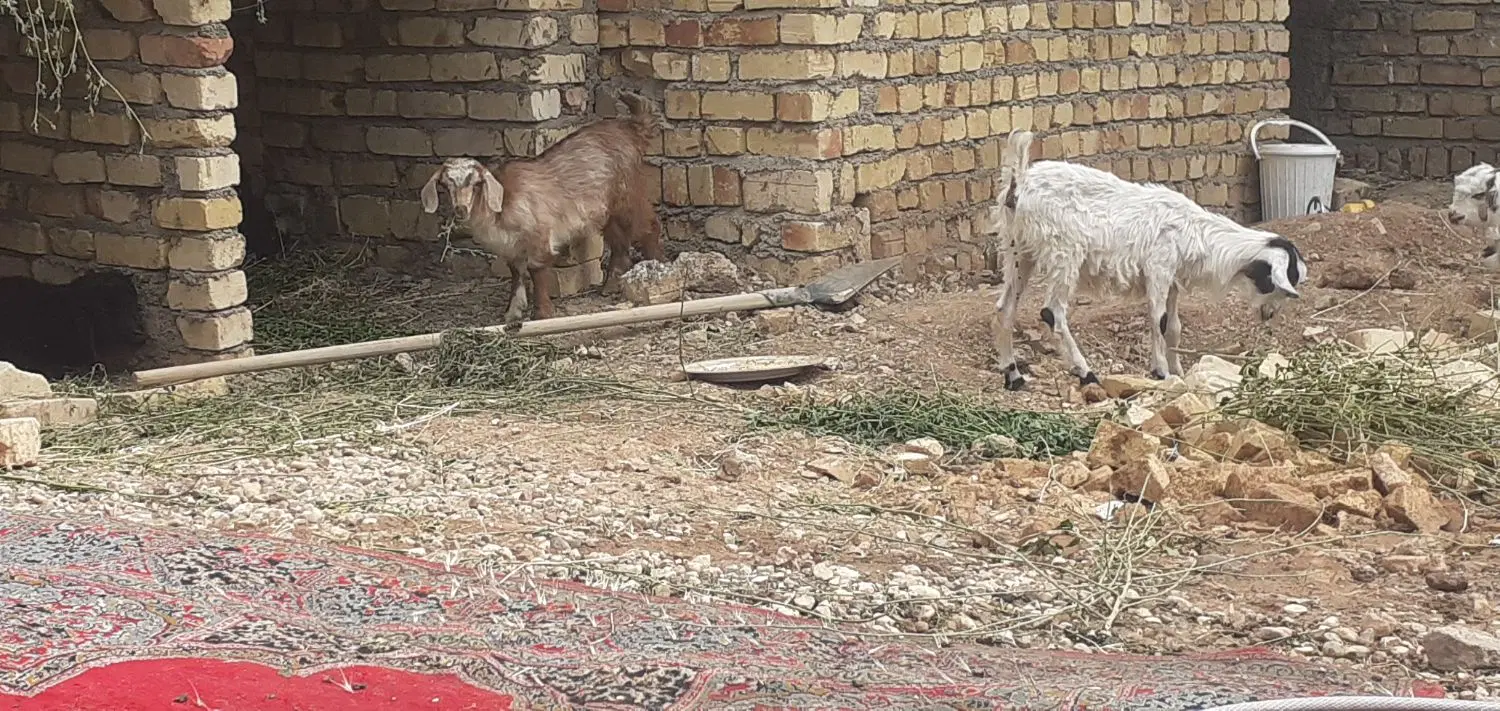 ۲۴۰متر زمین تجاری مسکونی