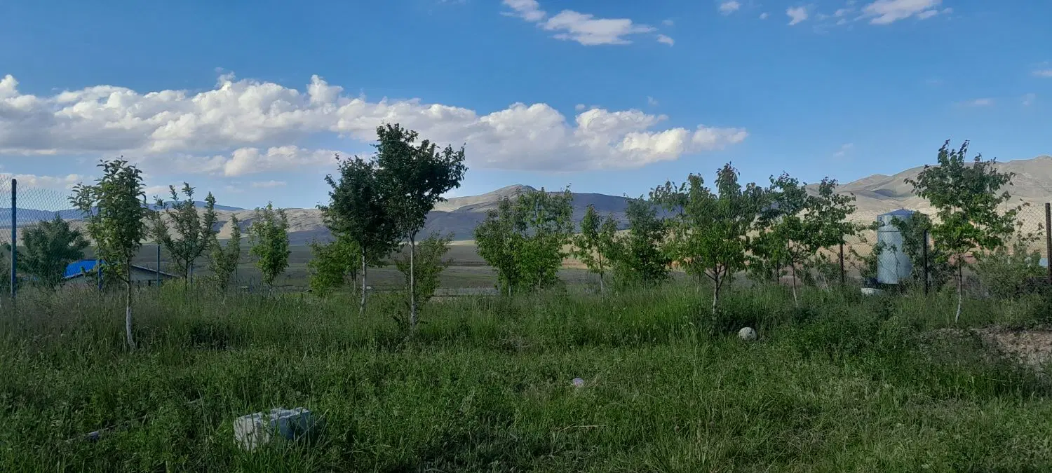 باغ ۵ساله با انواع درختان میوه