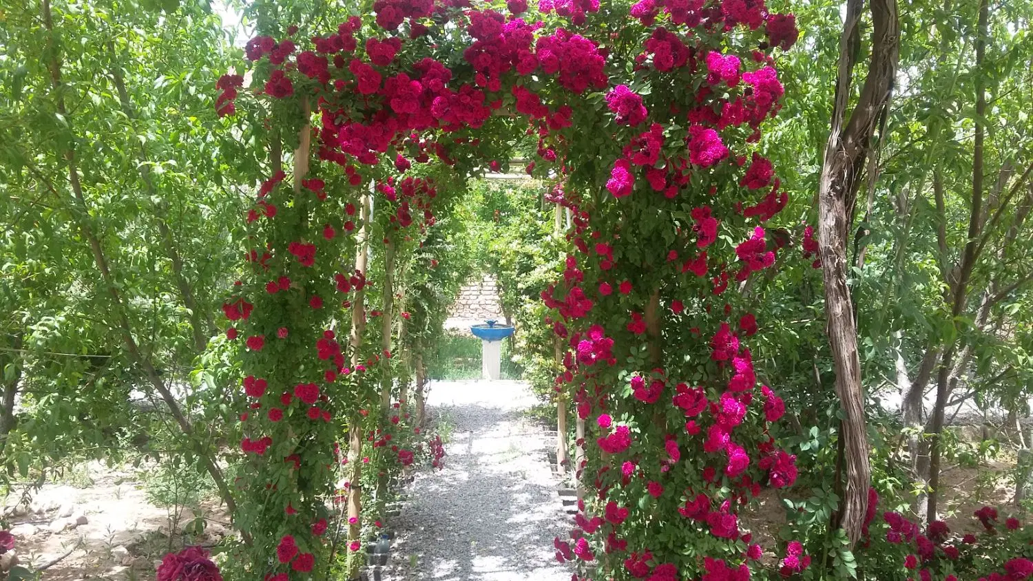 فروش ملک شهرک سیدی