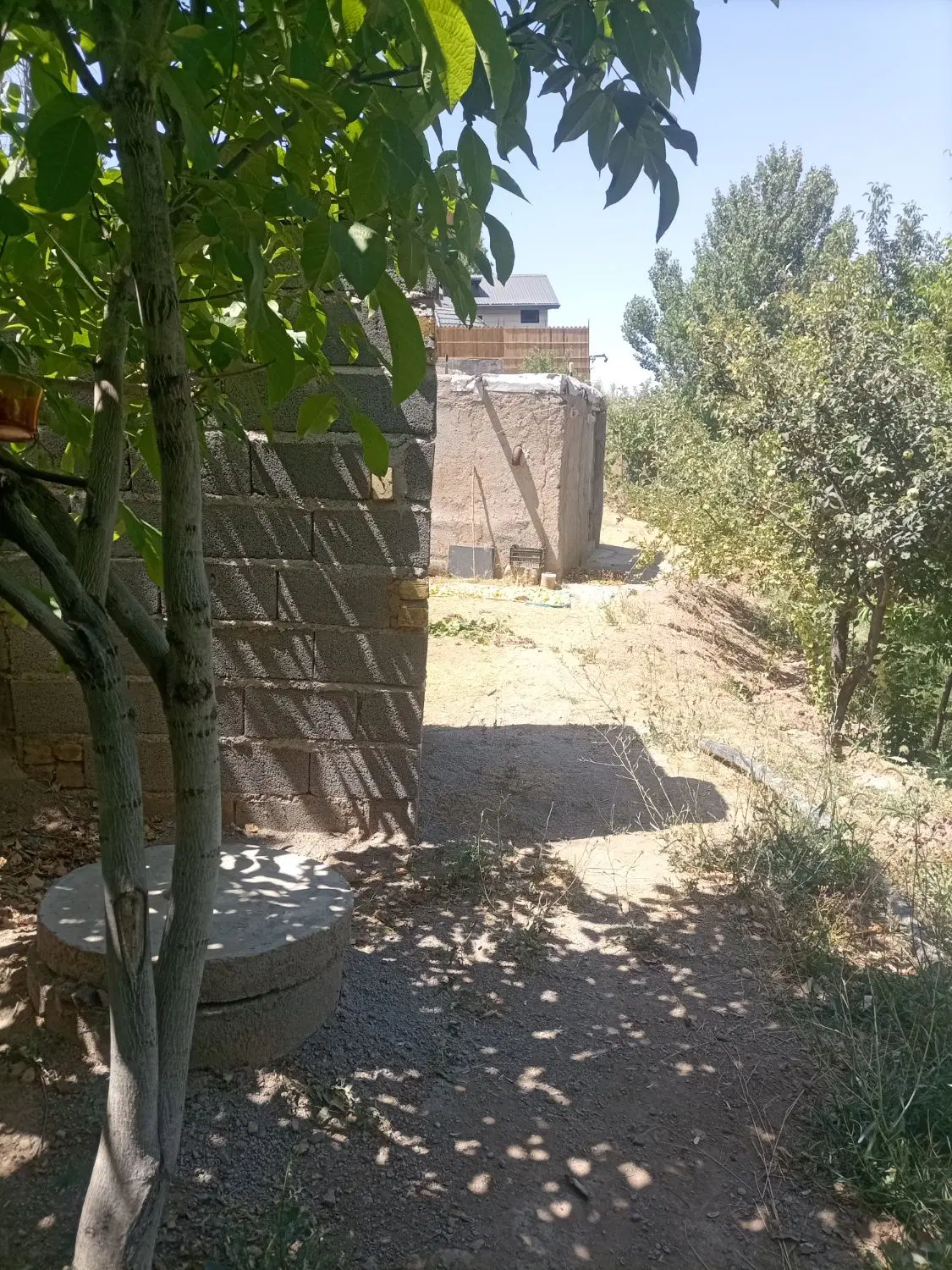 باغ  فروشی