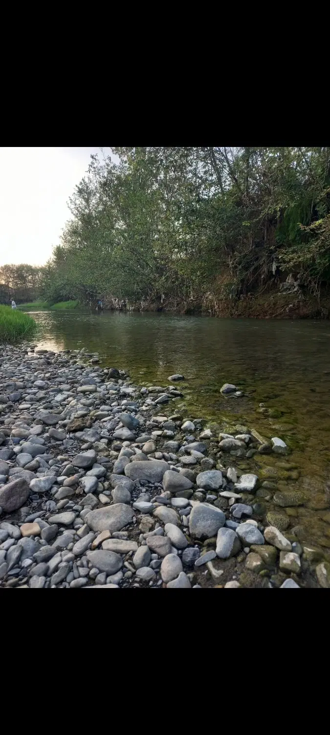 دویست متر زمین مسکونی
