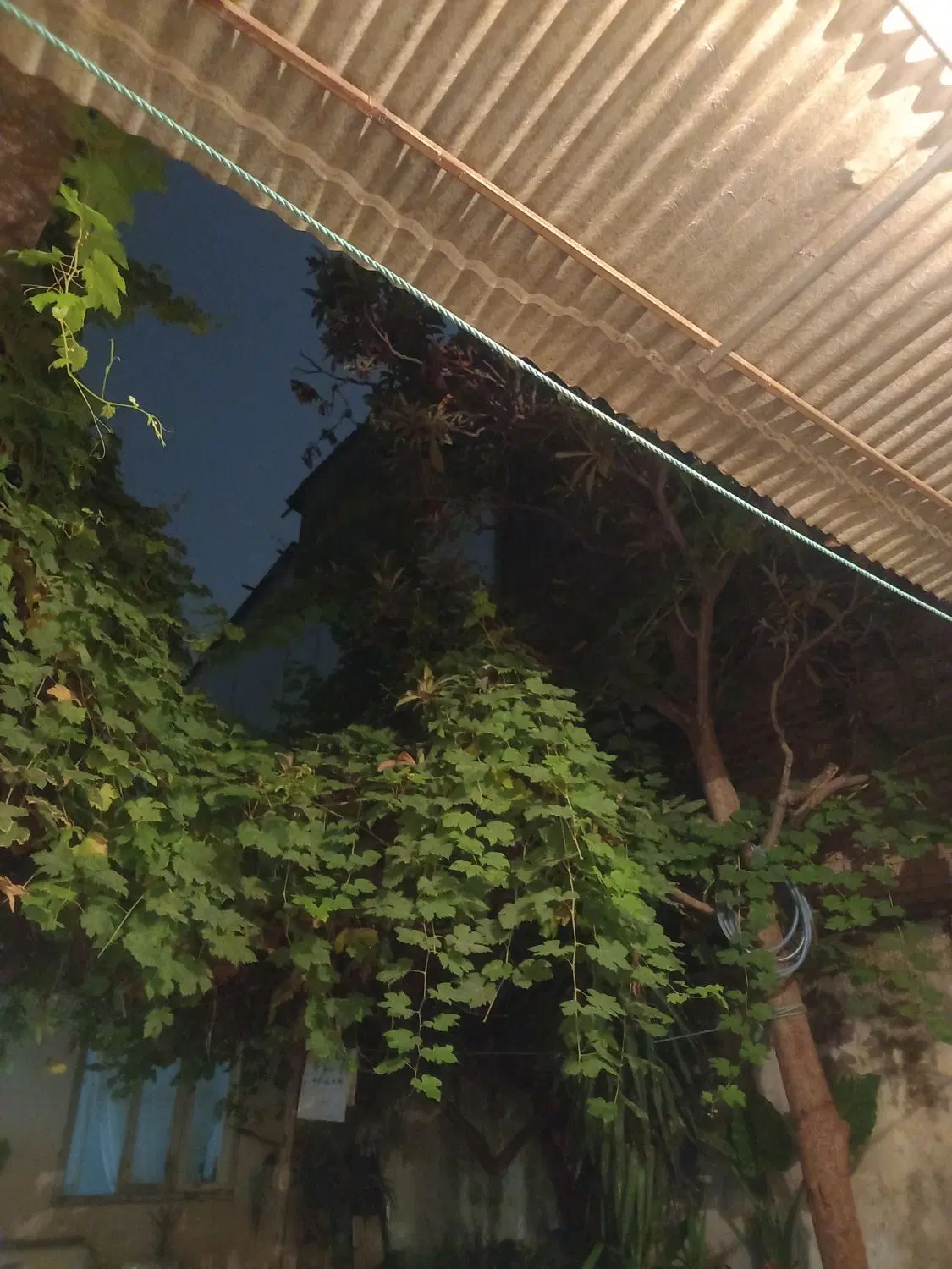 فروش خونه ویلایی