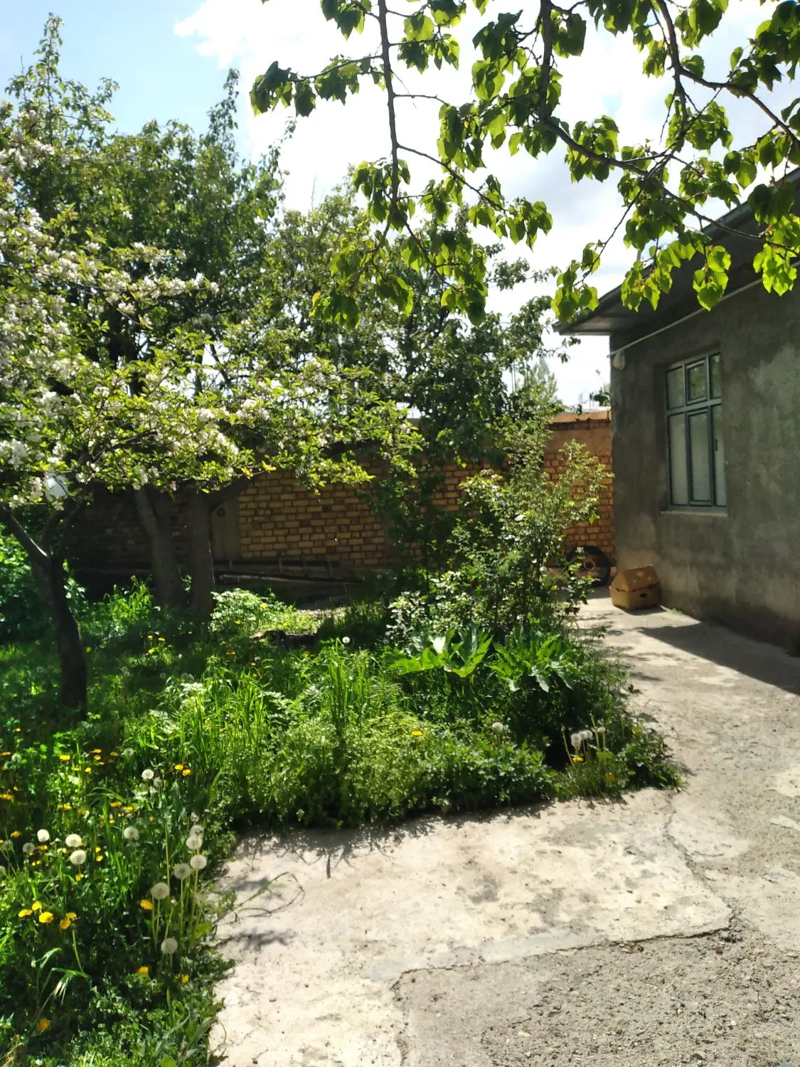 فروش خانه ویلایی درخوجین