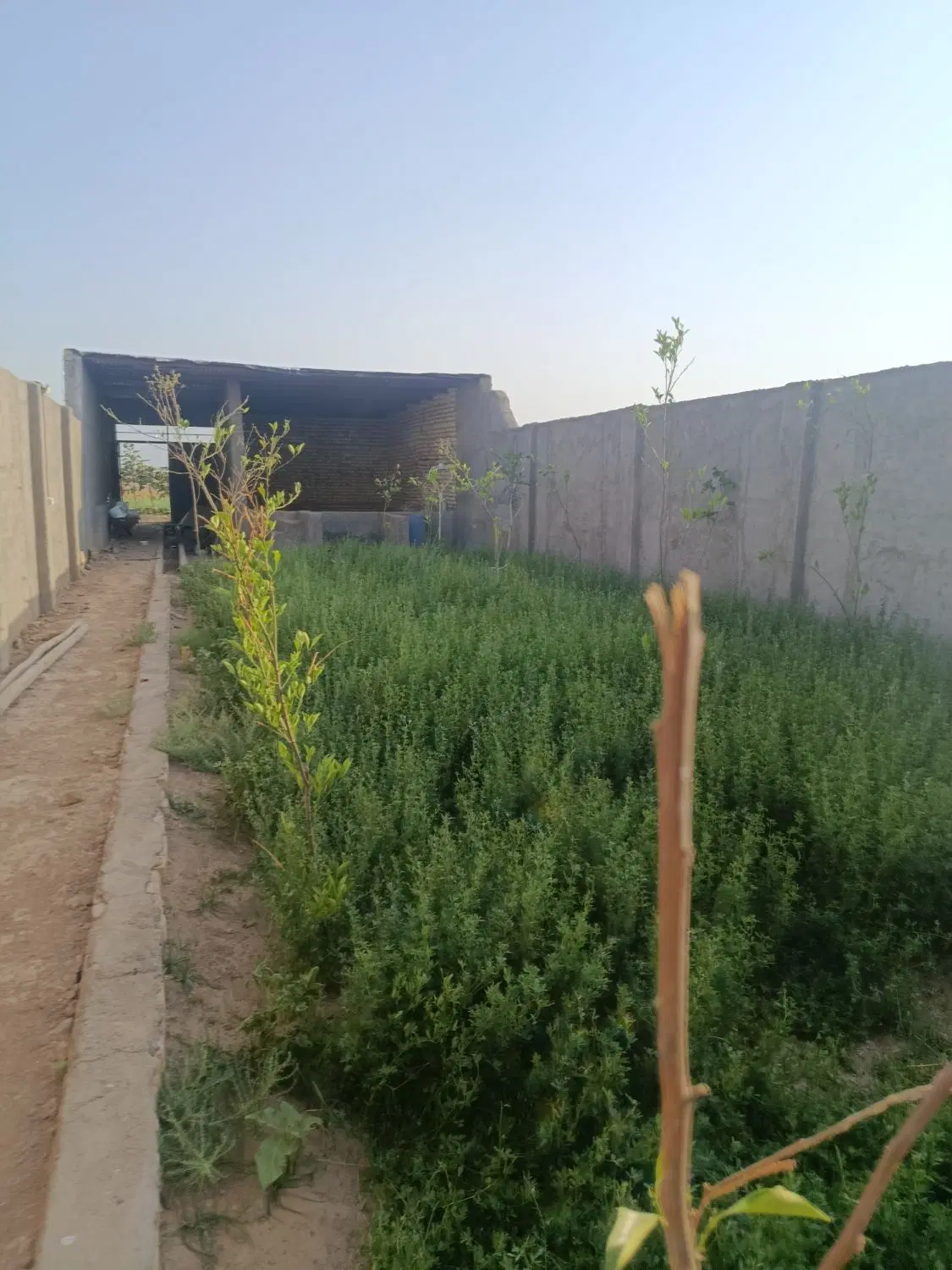 خونه باغ نیمه کاره ۲۵۰متری مفت 800میلیون