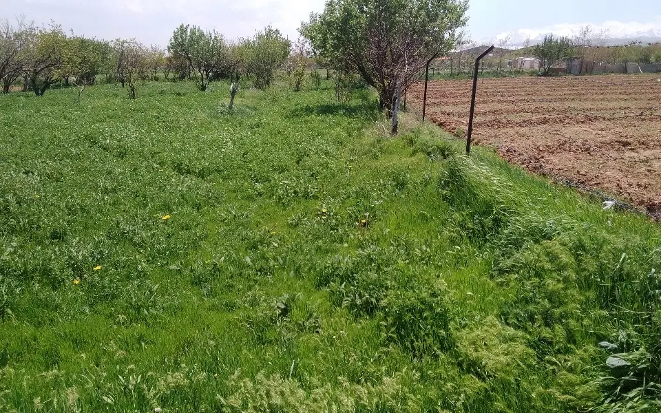 زمین باغ تبریز کندرود