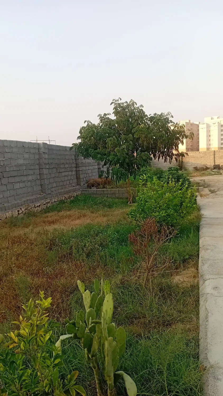 خونه باغ عالشهر،معاوضه با ویلایی و خودرو