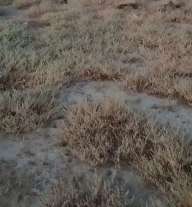 زمین ۴۴۴متری
