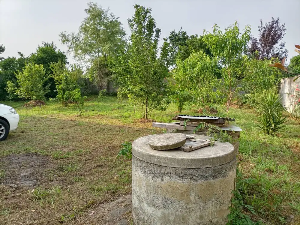 ویلا.  سند تک برگ