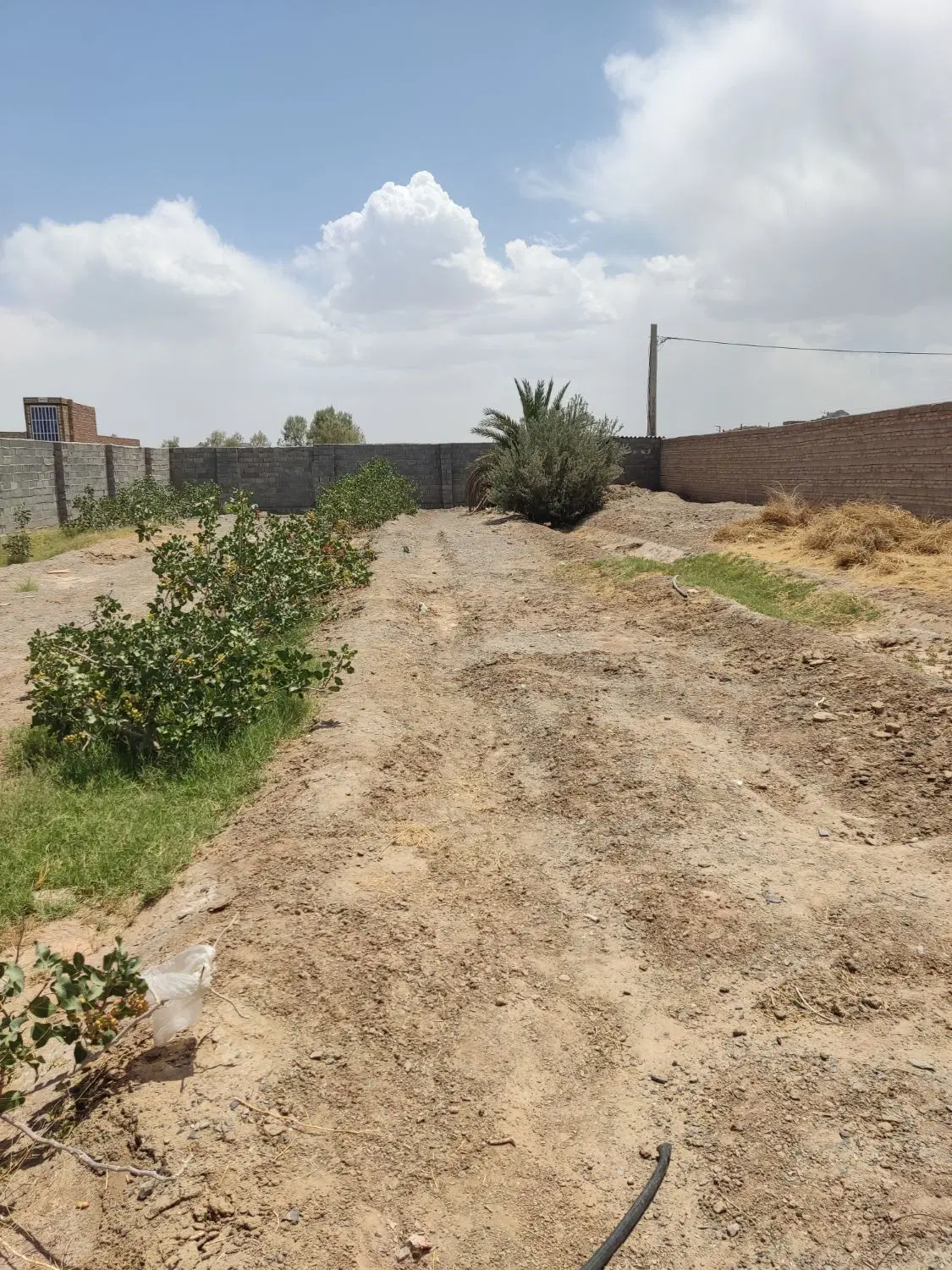 زمین چهار دیواری چاه رحمان لار