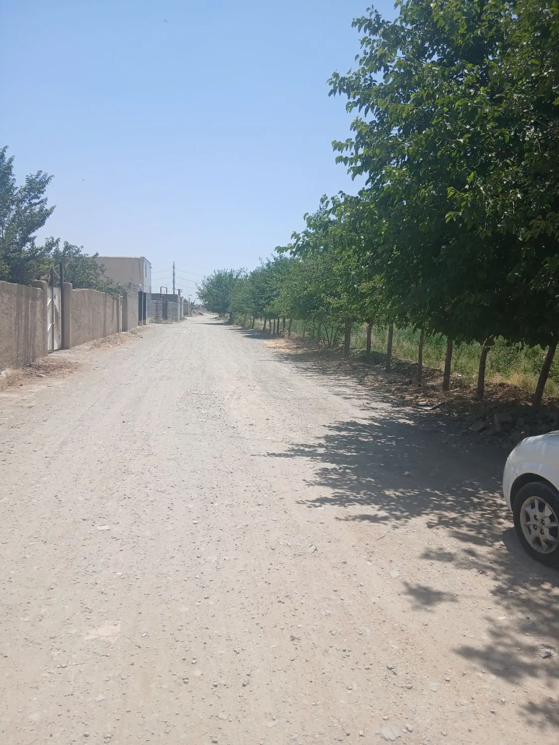 زمین کشاورزی سند دار با سهمیه آب