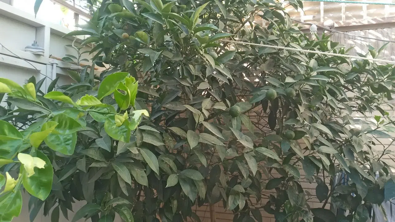 فروش منزل ویلایی
