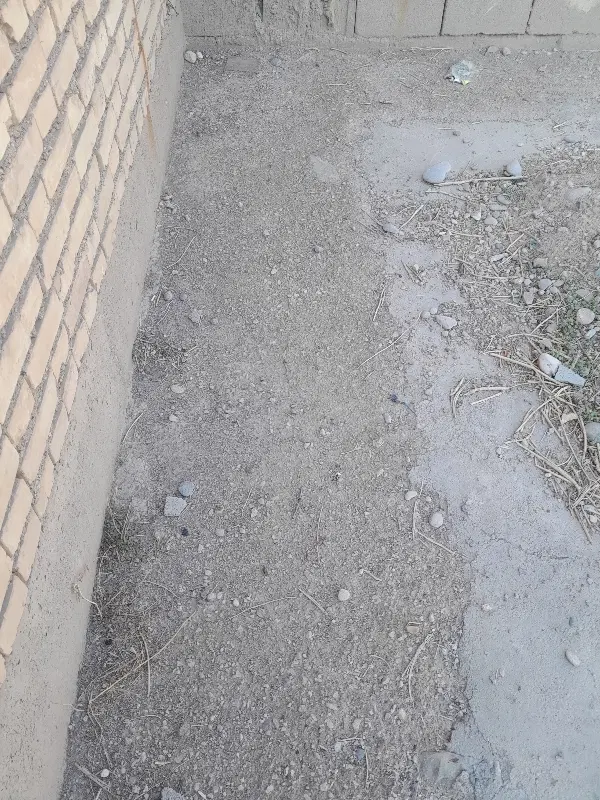 زمین مسکونی سیاه منصور
