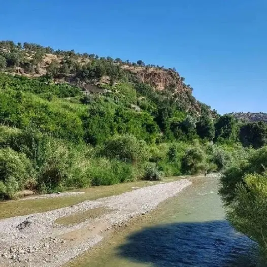 فروش زمین در طبیعت زیبای کوهمره سرخی
