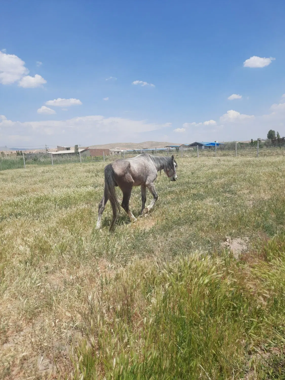 فروش زمین زراعی مرغوب با موقعیت