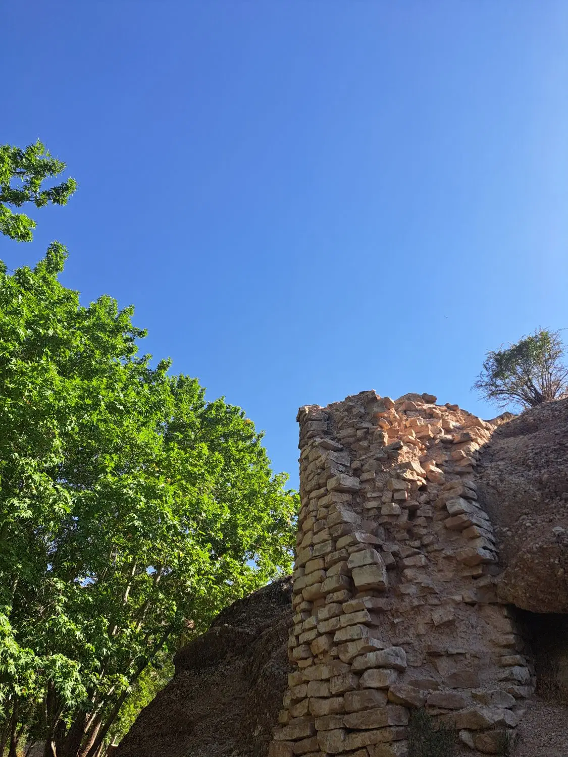 زمین صدرا فاز ۲علوم پزشکی