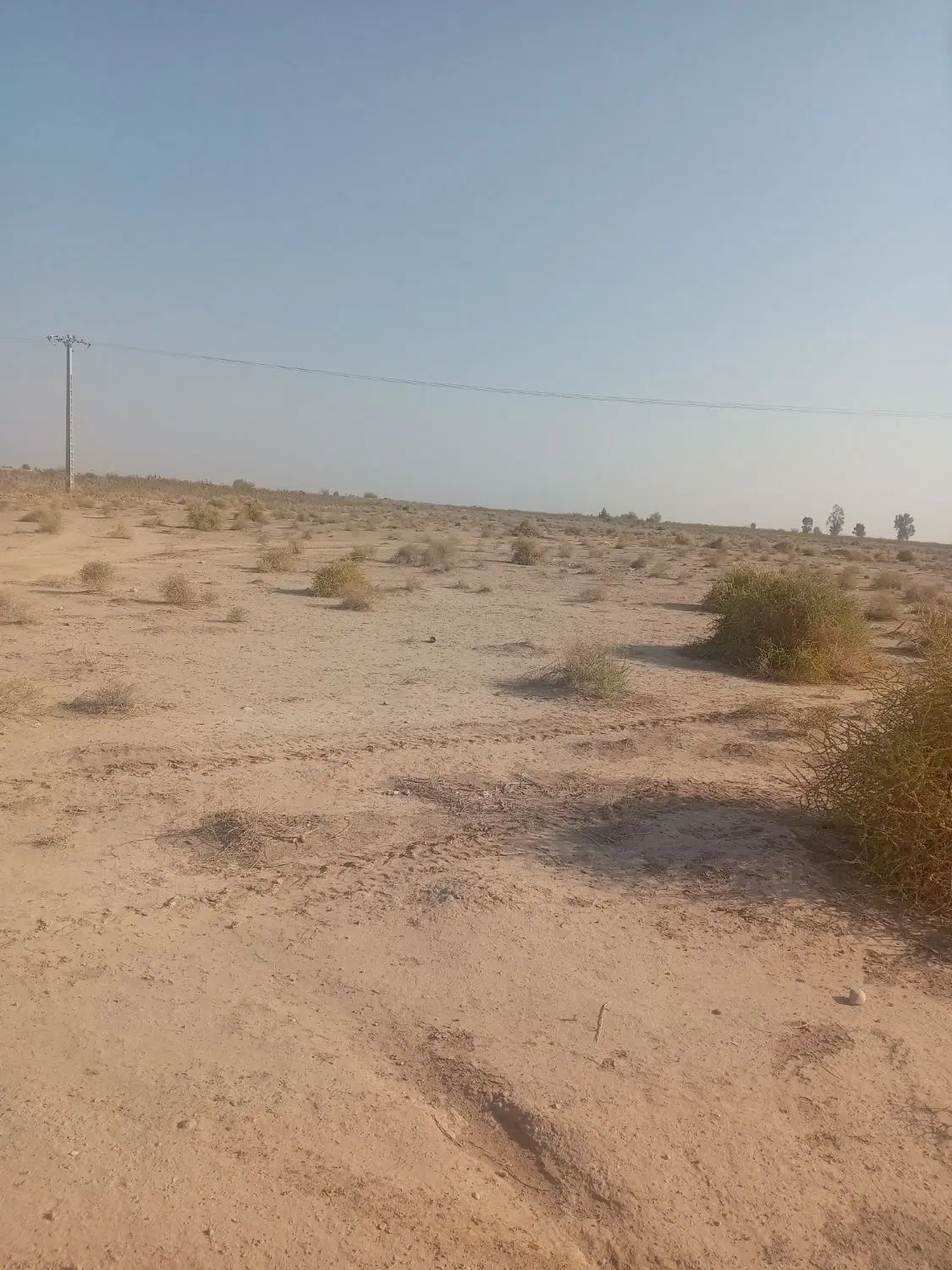 کهنشر ۱۰ قصب زمین مسکونی قابل ساخت ساز