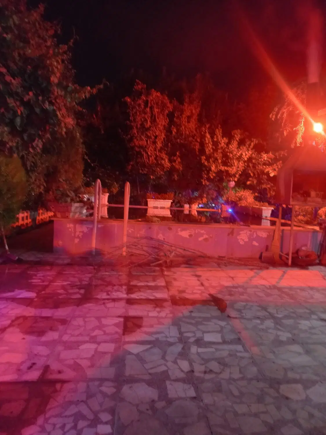 همخونه