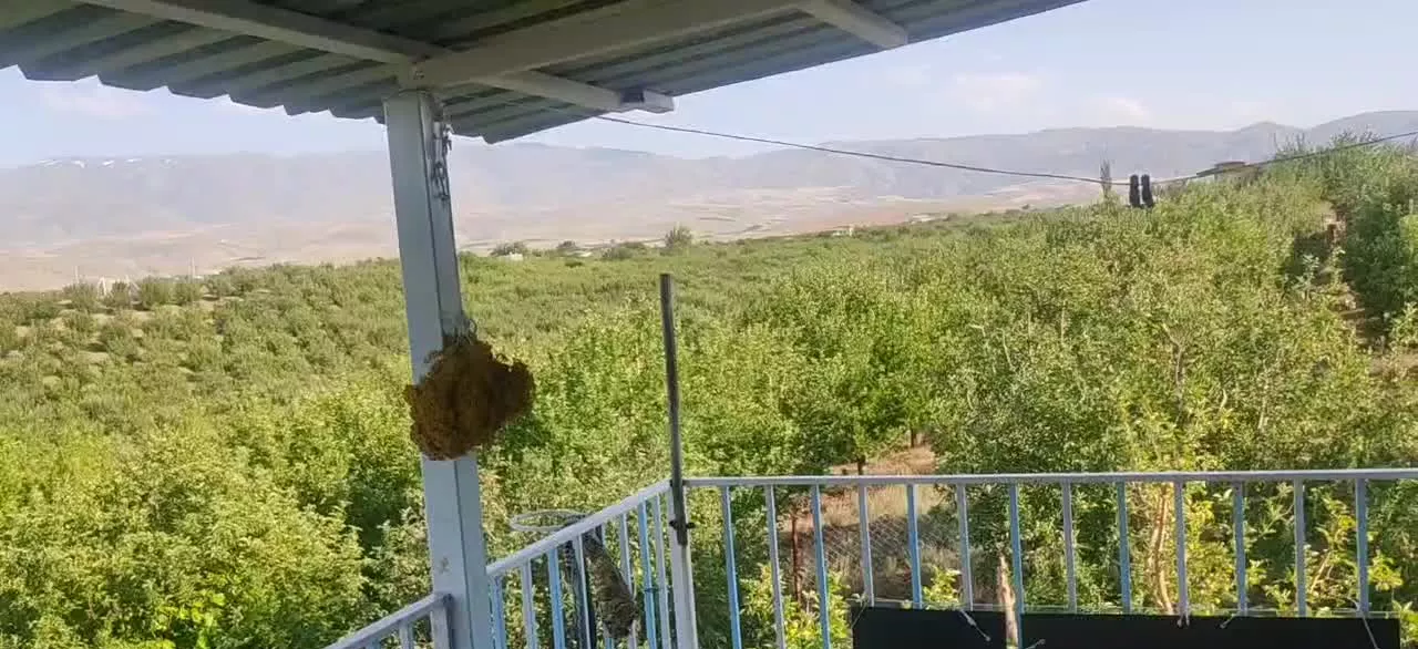 باغ