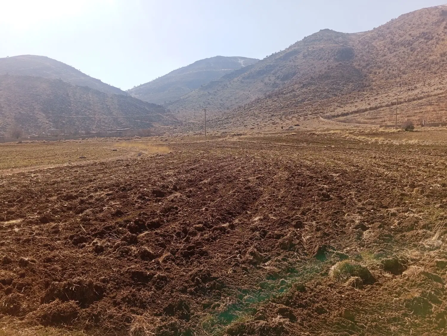 ملک