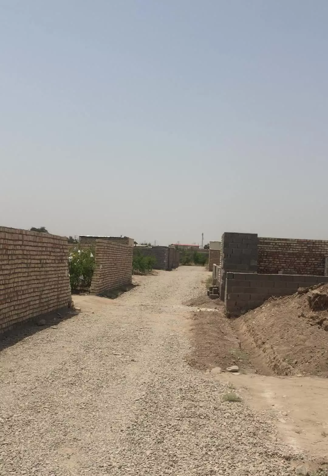 باغ انار و انواع میوه