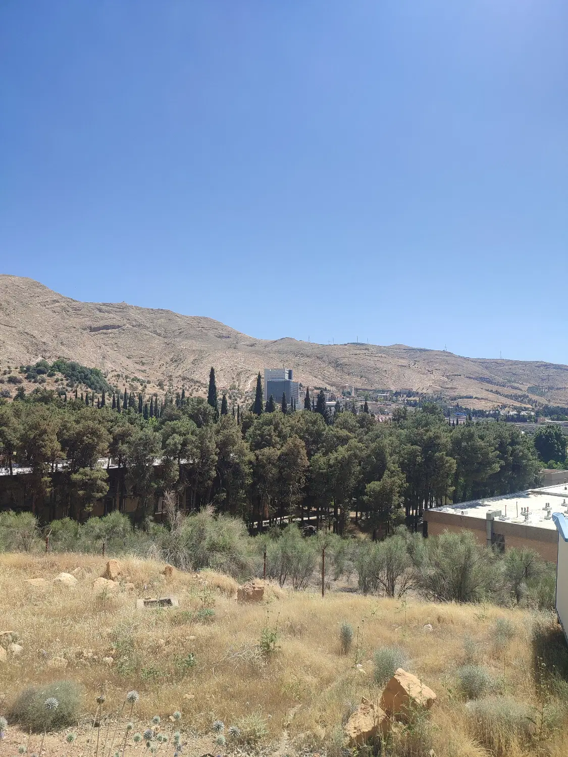 زمین فناوران