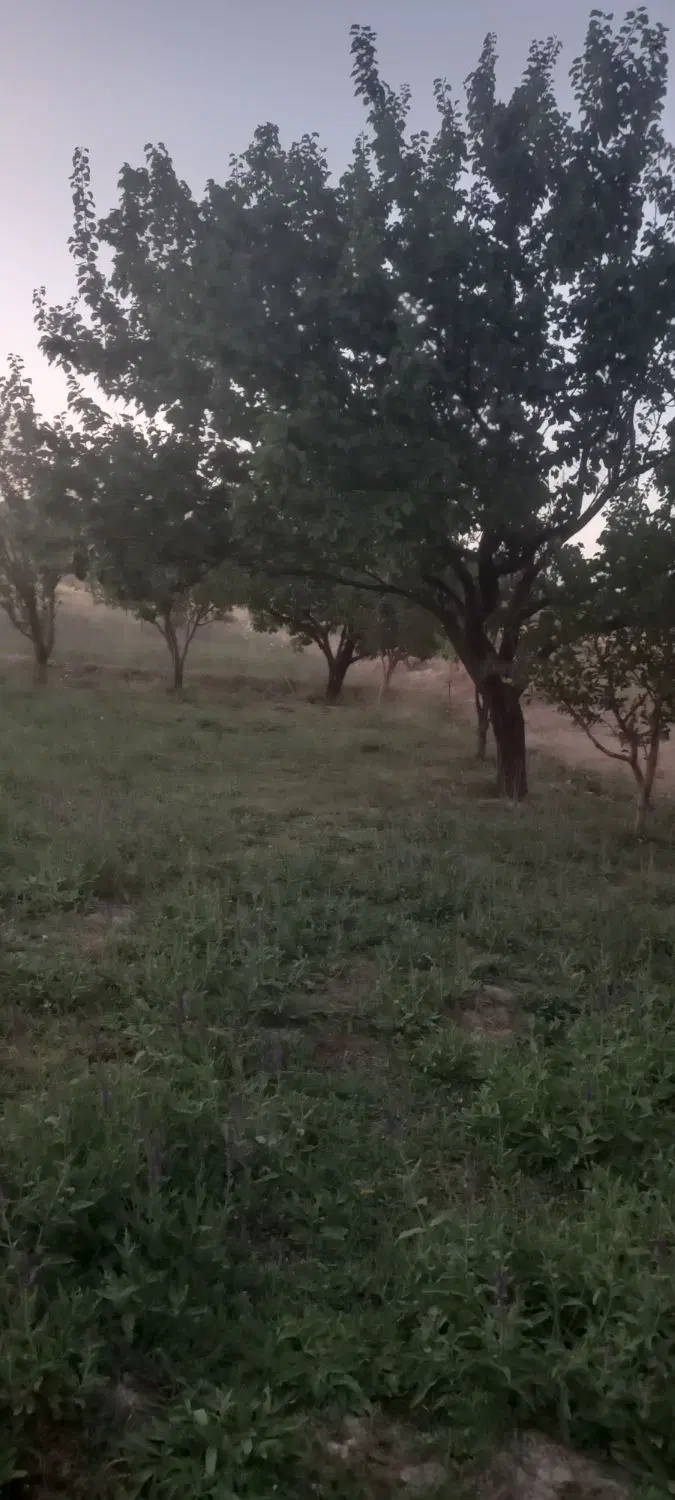 باغ دارای حق ابه دائمی دراسپیران