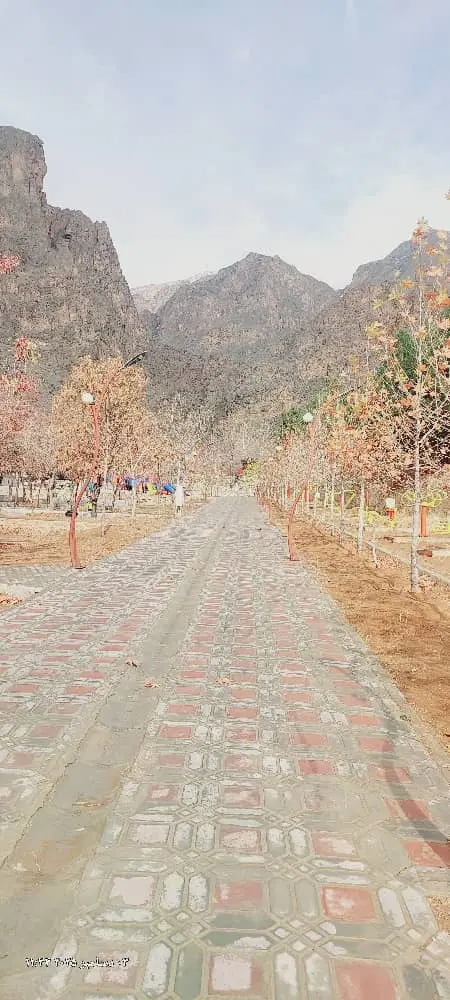 زمین در فاریاب ایسین