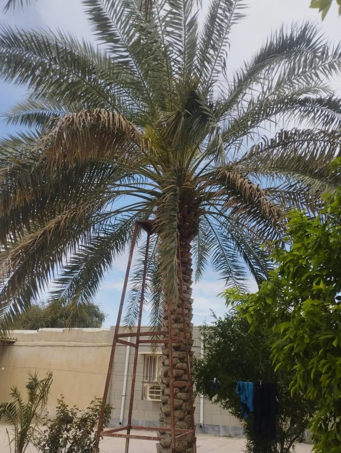 معاوضه آپارتمان کرج با واحدو یا خانه باغ کرمانشاه