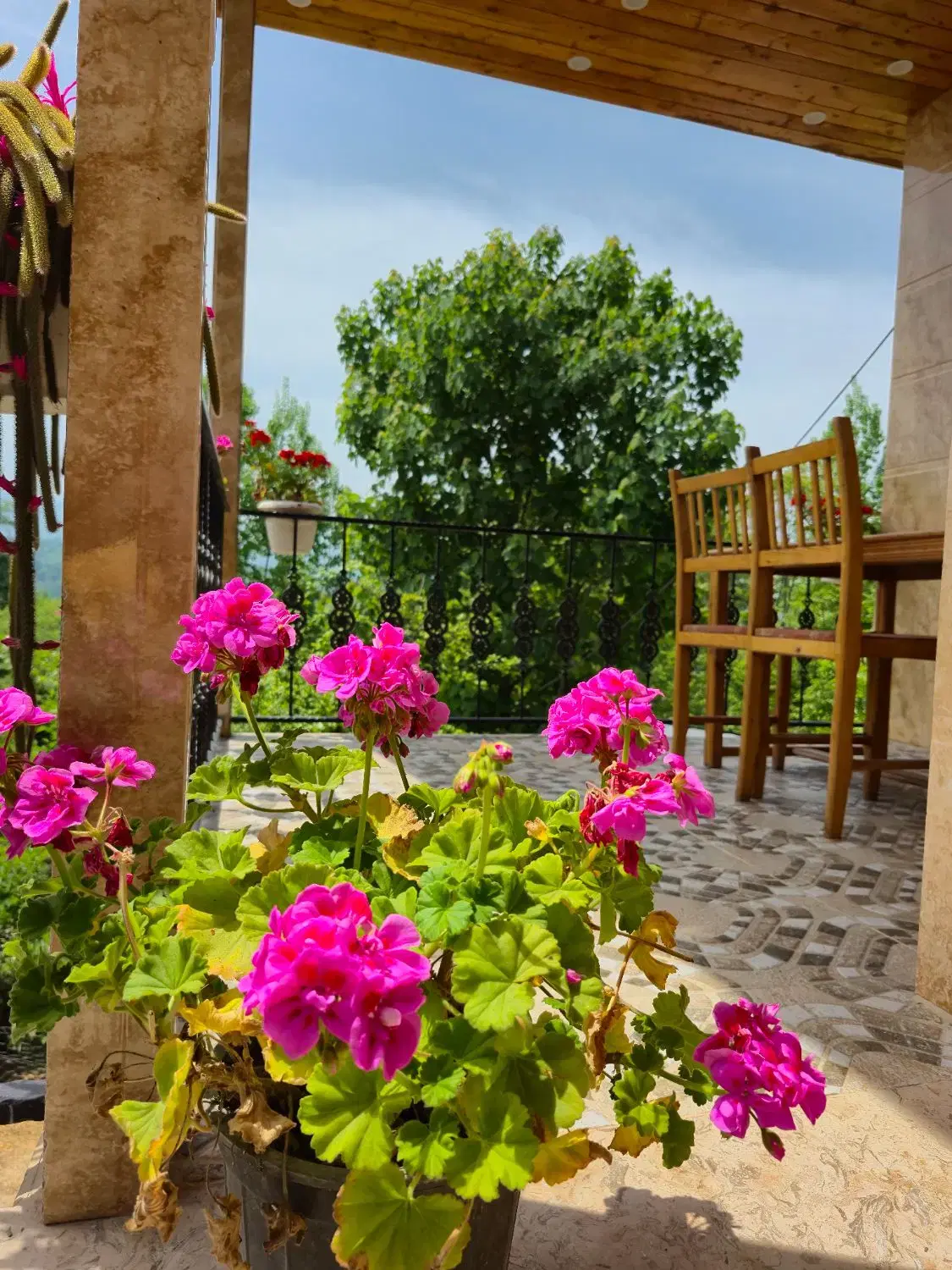 اجاره روزانه کلبه جنگلی