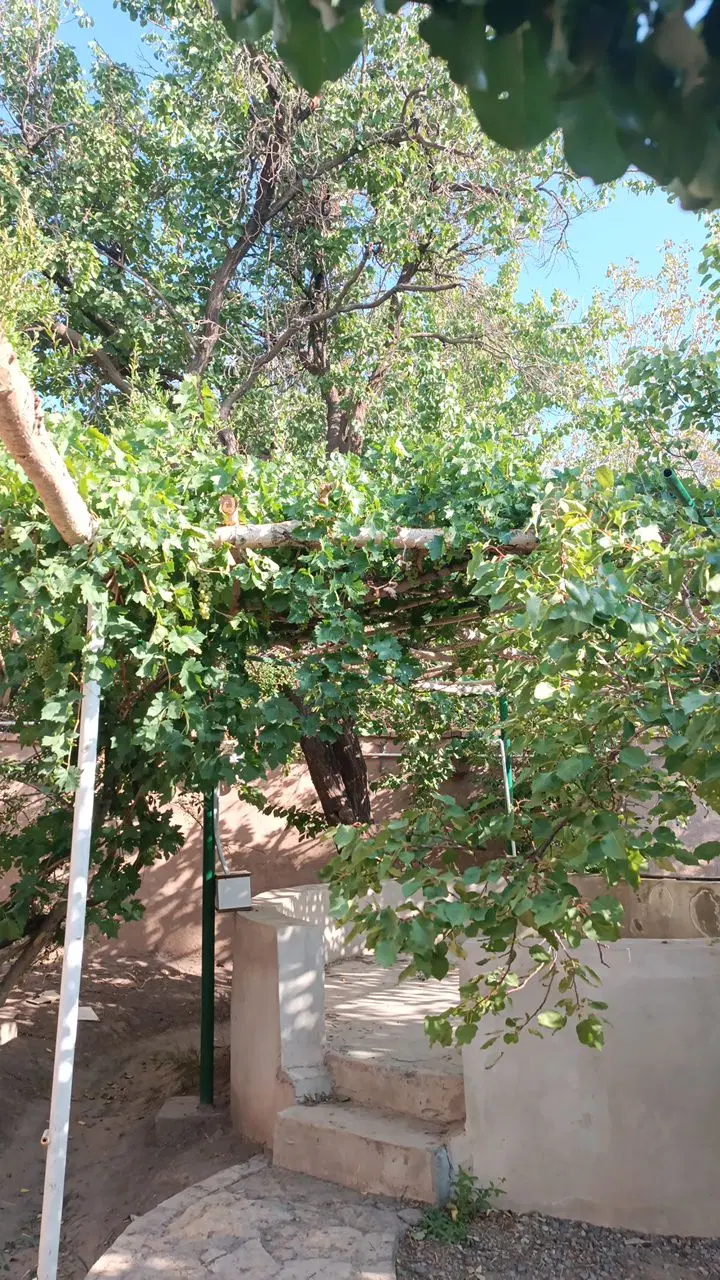 خانه باغی در شهرستان راین