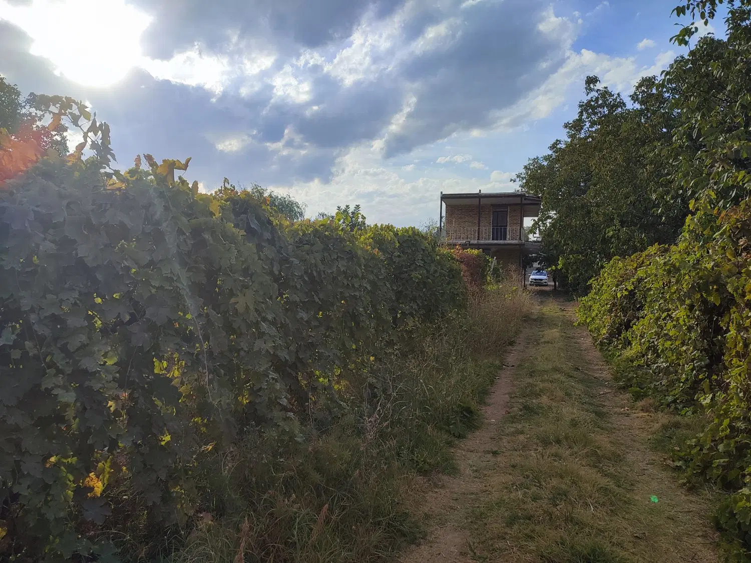 فروش زمین در روستای آشناآباد