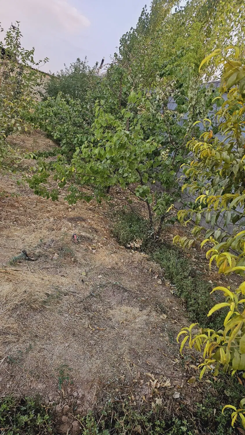 باغشهری