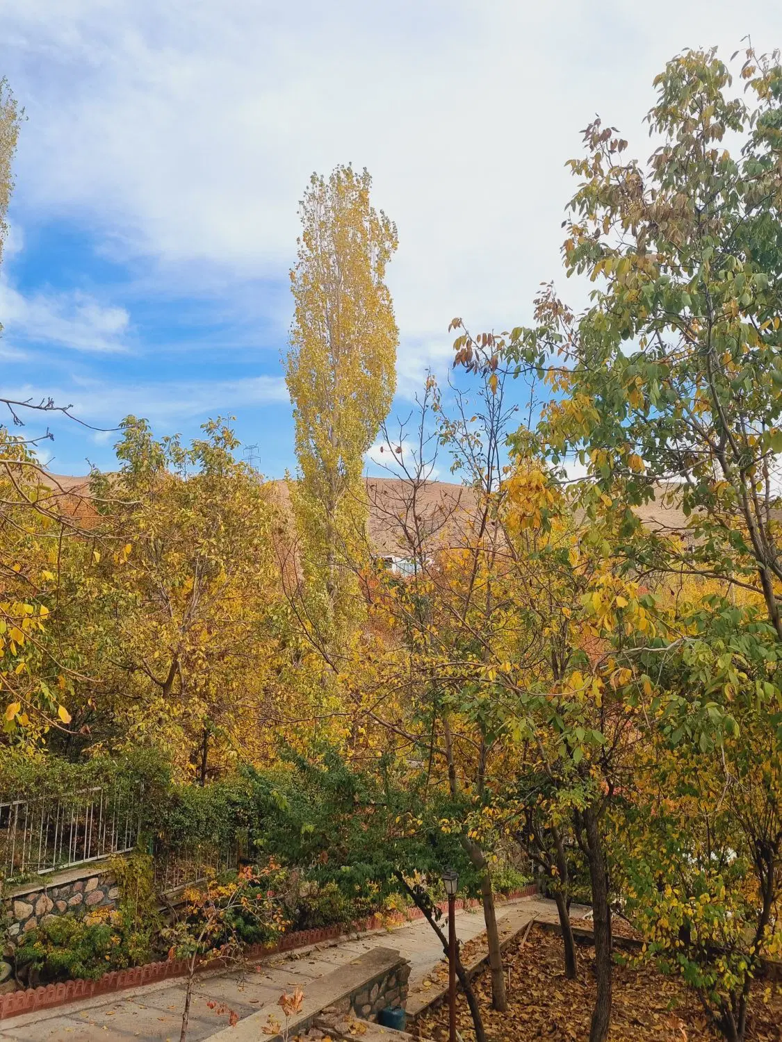 زمین ۴ دیواری