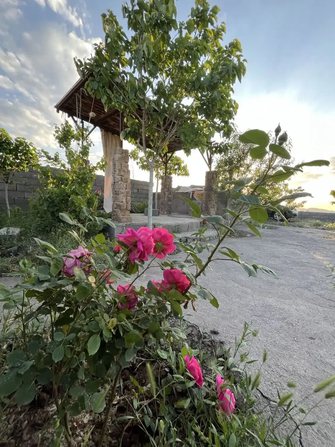 باغچه گلمکان سنگ سفید