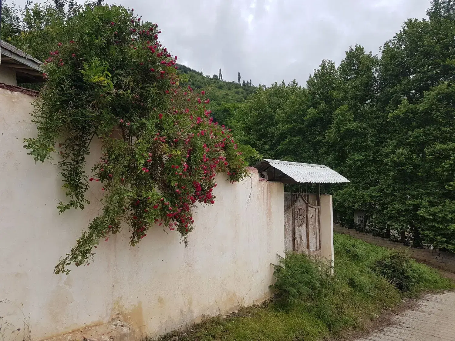 خانه قدیمی با زمین درییلاق
