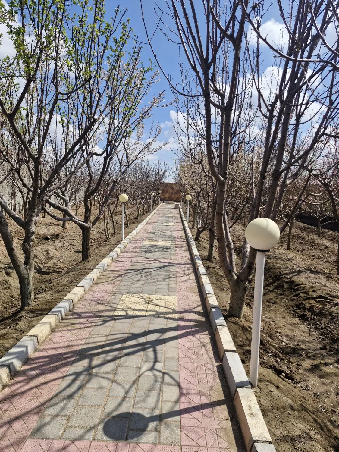 ۲۵۰ متر زمین باغی آماده ساخت