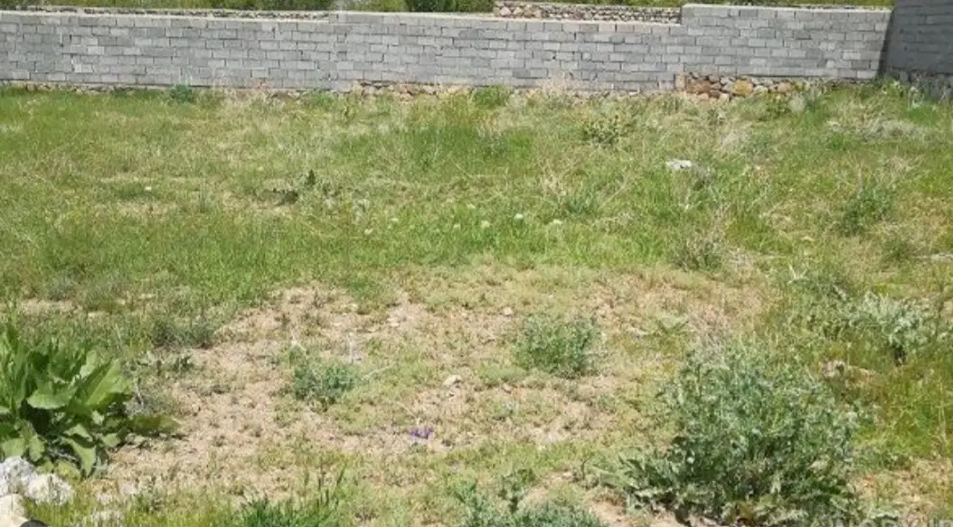 زمین فروشی